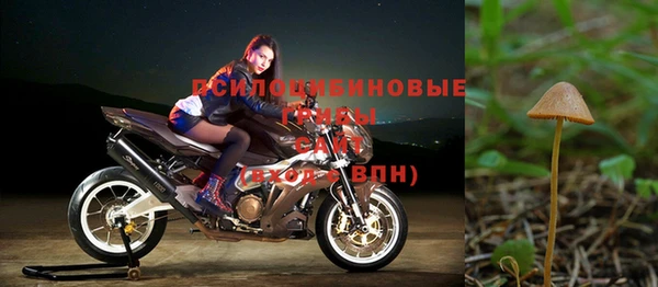 первитин Белокуриха