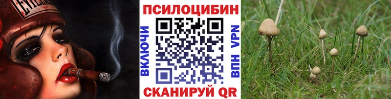 Галлюциногенные грибы MAGIC MUSHROOMS блэк спрут как зайти Чухлома